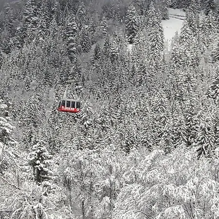 Le Labrador Szálloda Chamonix
