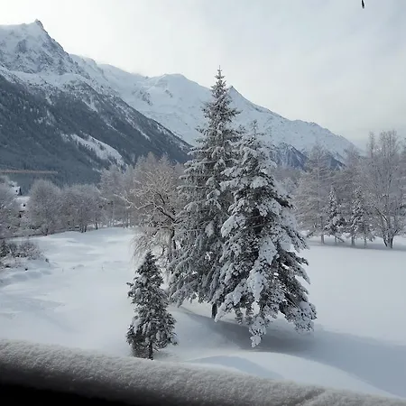 Le Labrador 3* Шамоні