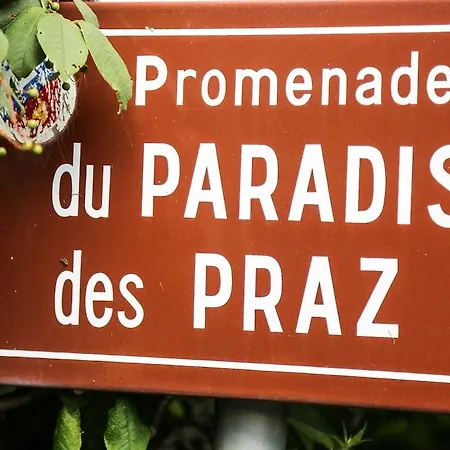 Le Labrador Шамоні