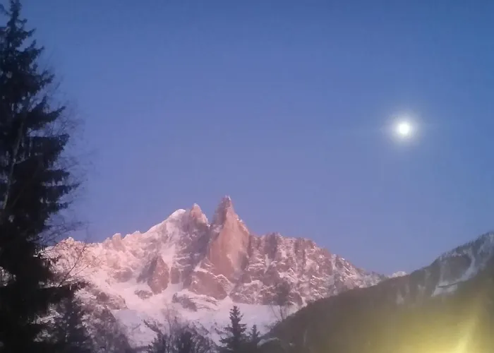 Le Labrador Hotel Chamonix
